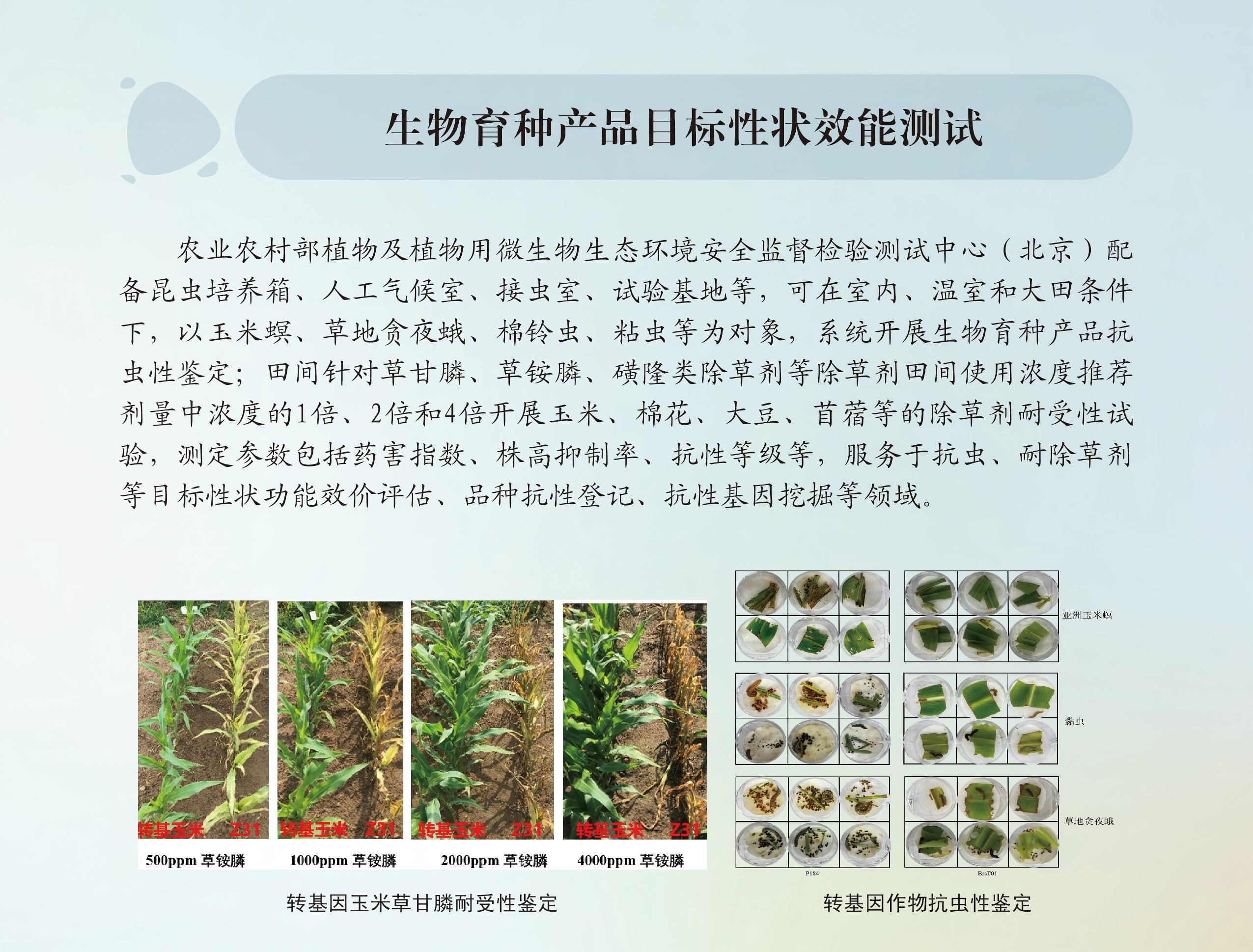 生物育种产品目标性状效能测试.jpg